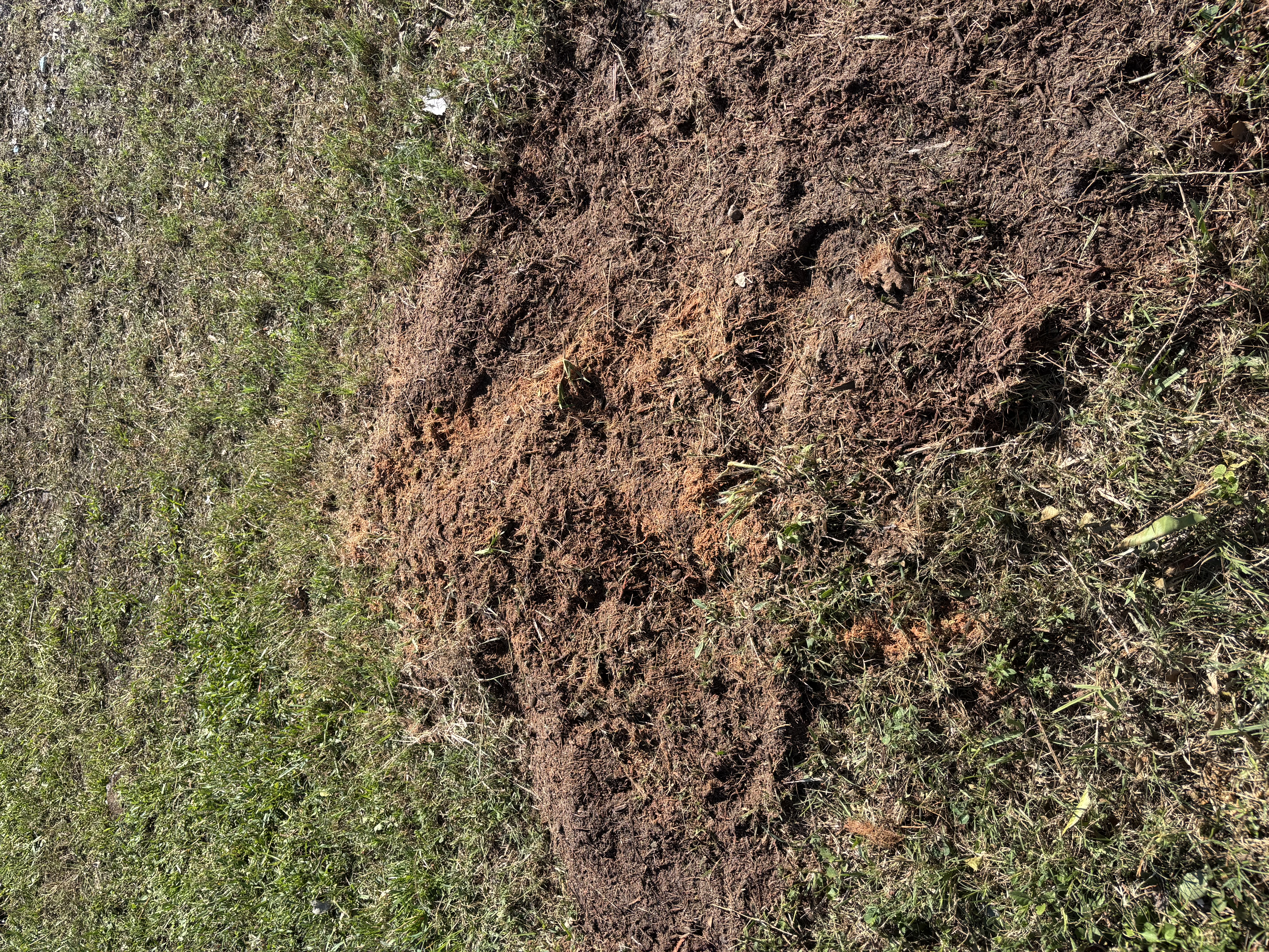 Sod installation and lawn repair service in Melbourne Florida