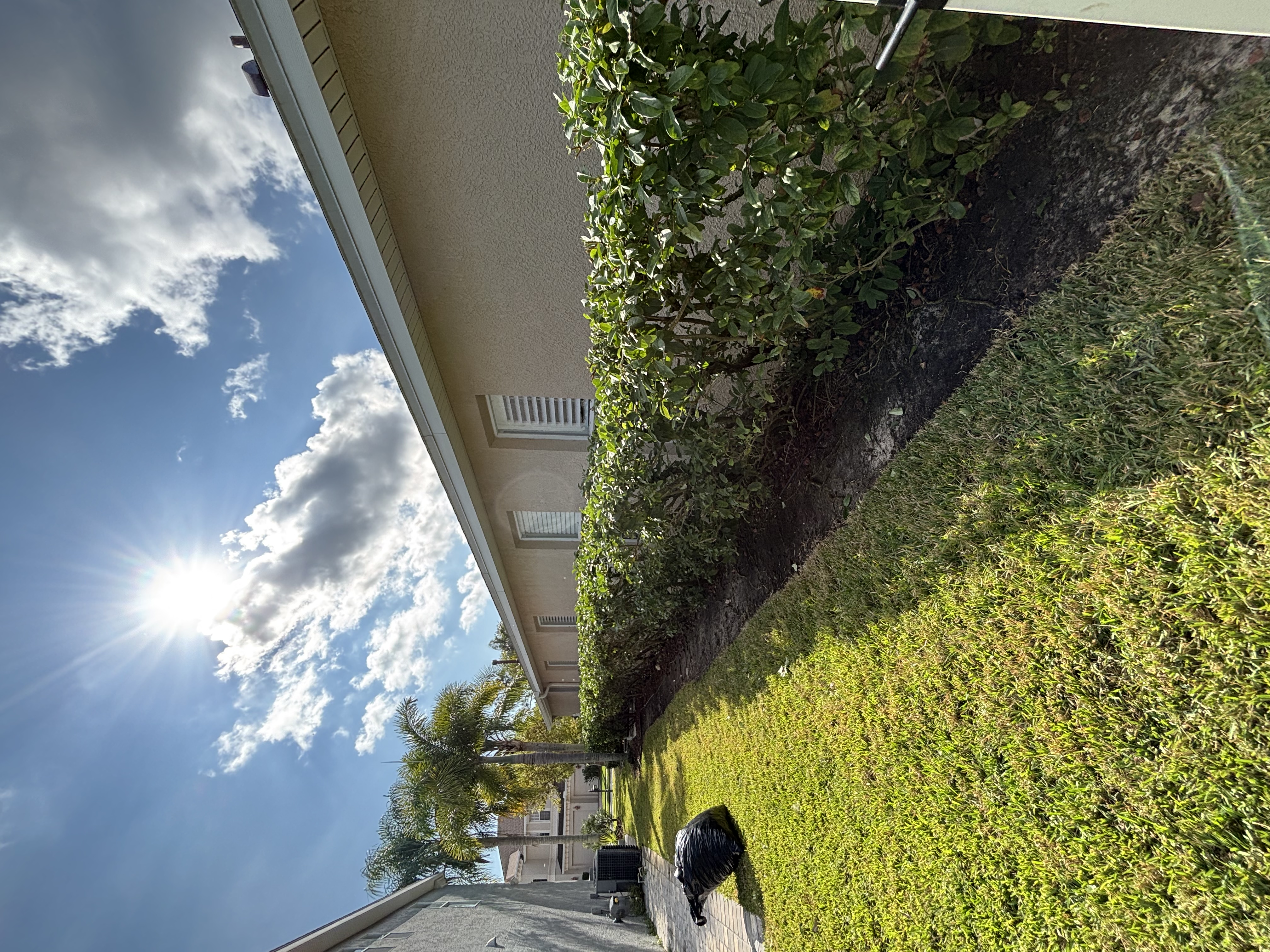 Shrub and hedge trimming service in Melbourne Florida by licensed landscaper