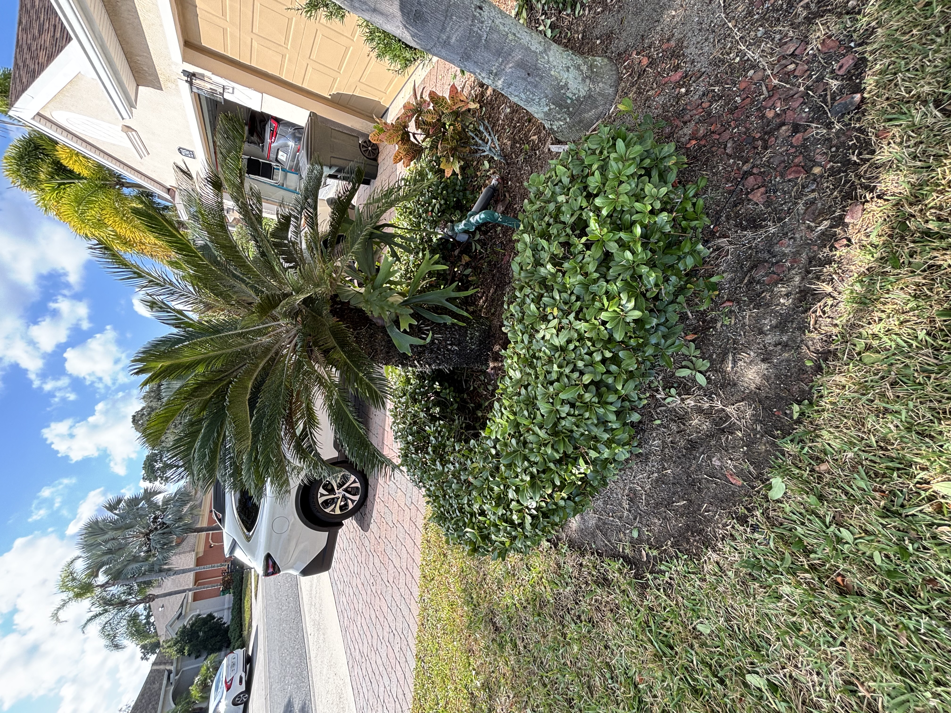 Pinewood Landscape yard transformation Brevard County Florida