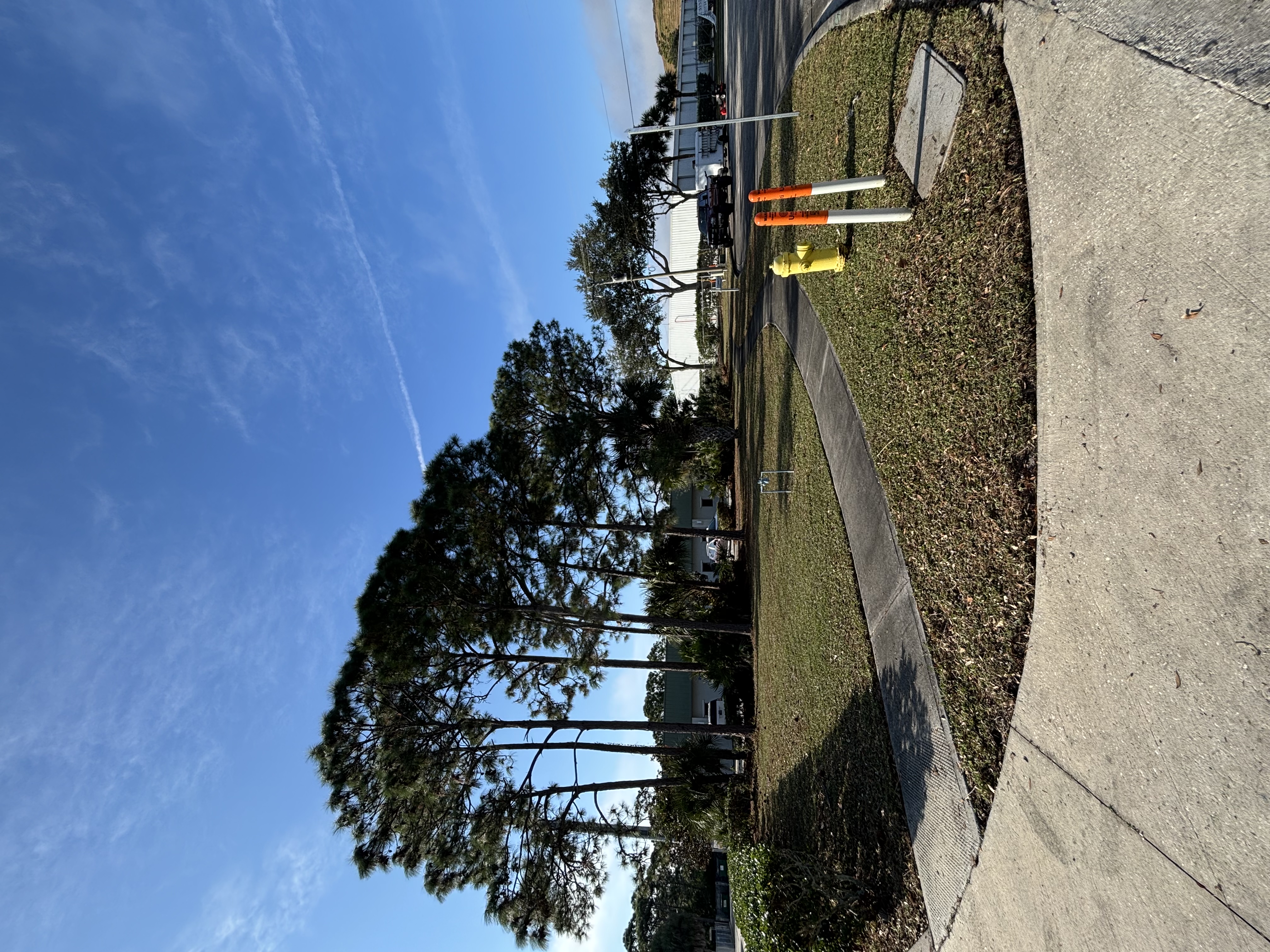 Landscaping cleanup and maintenance service Melbourne Florida