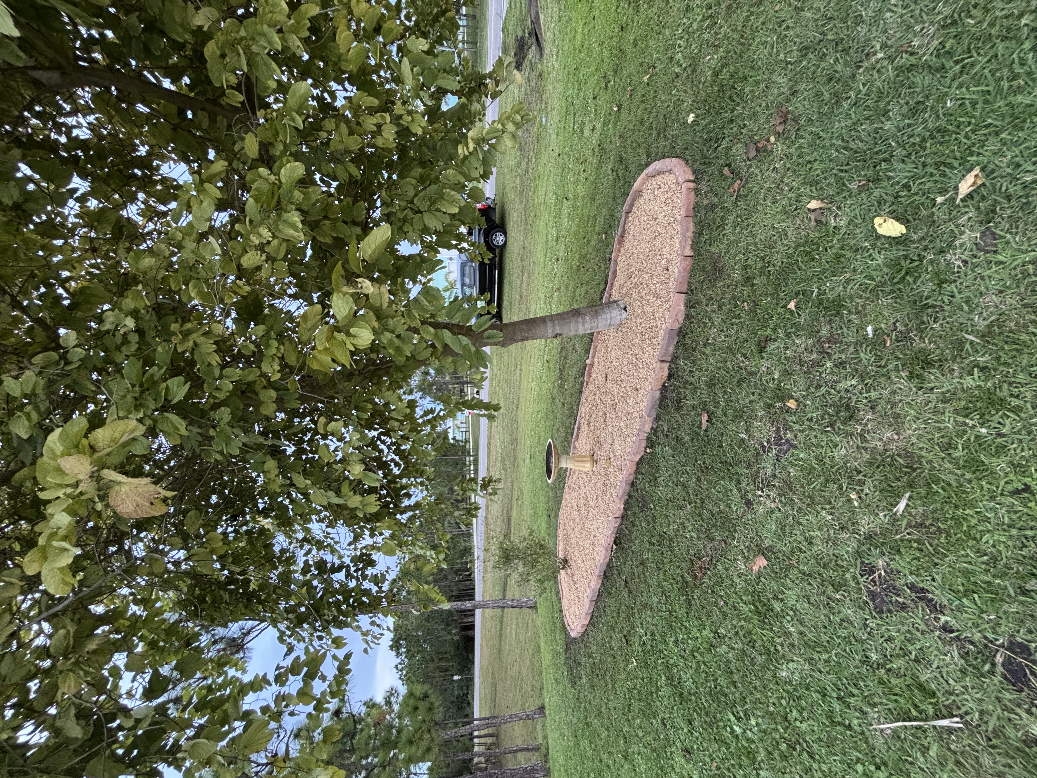 Completed landscaping project Melbourne Florida residential property