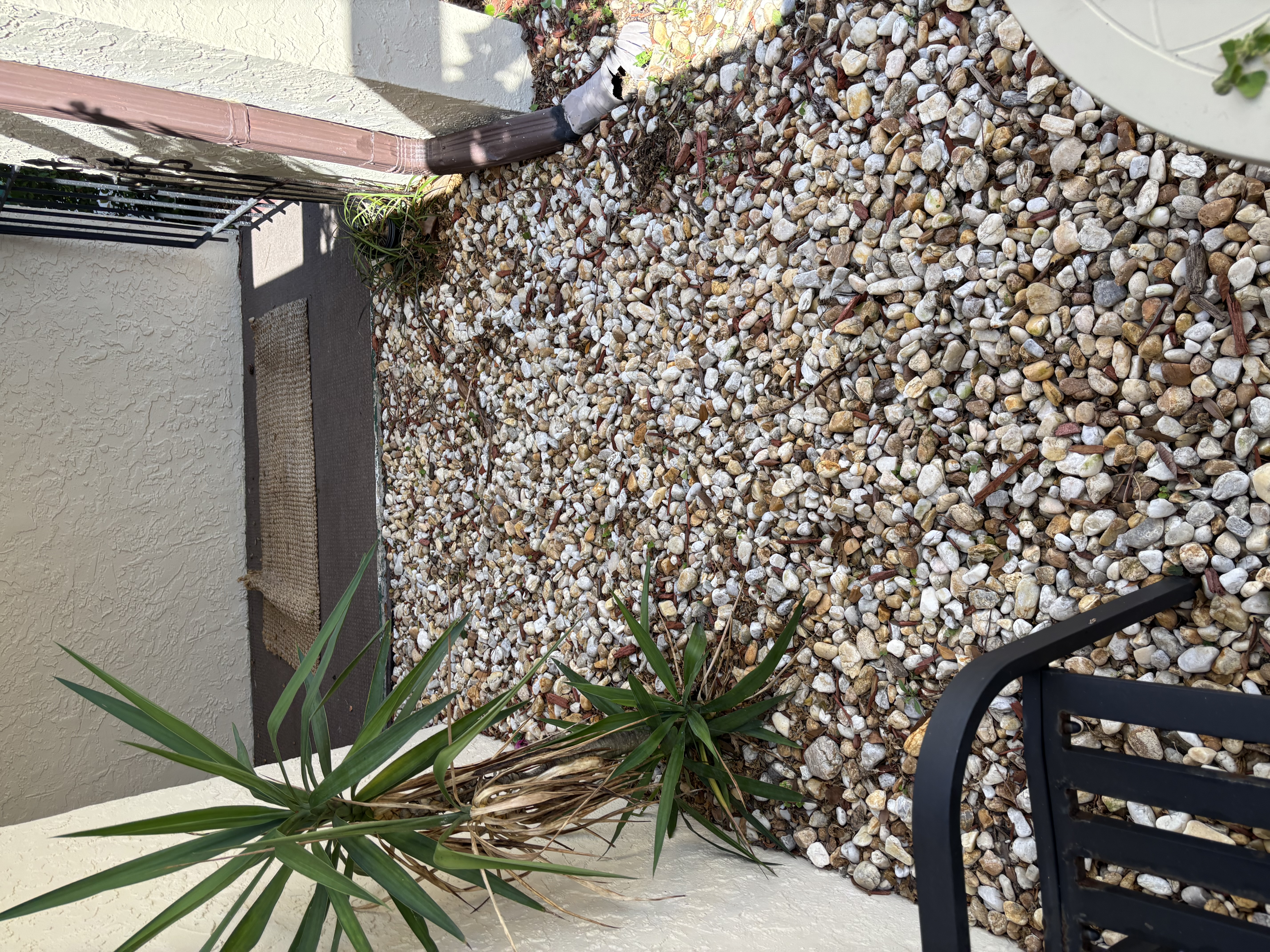 Landscape maintenance Brevard County Florida